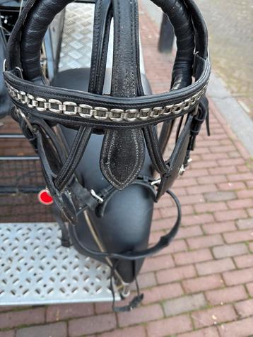 Men hoofdstel beschikbaar voor biedingen