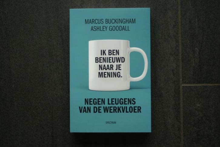 NEGEN LEUGENS VAN DE WERKVLOER.(Ben benieuwd naar je mening, Boeken, Economie, Management en Marketing, Zo goed als nieuw, Management