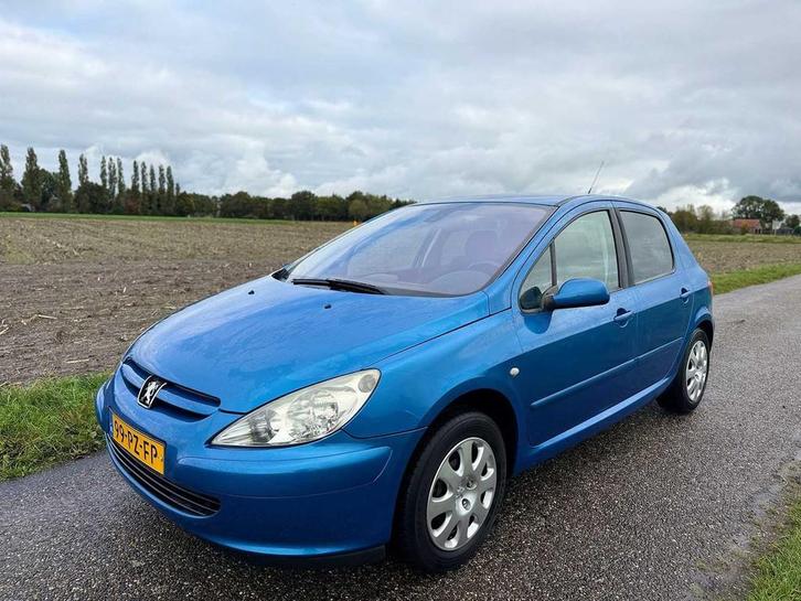 Peugeot - 2005 - 307 - 1.6-16V XS Premium - 99-PZ-FP, Auto's, Peugeot, Bedrijf, Overige brandstoffen, Euro 3, C, Hatchback, Gebruikt