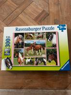 Ravensburger puzzel 9+ paarden, Ophalen, Meer dan 50 stukjes, Zo goed als nieuw, 6 jaar of ouder