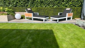 Luxe Ligbedden Aluminium/Teak beschikbaar voor biedingen