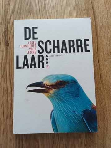 Diverse auteurs - De scharrelaar-2019/1 beschikbaar voor biedingen