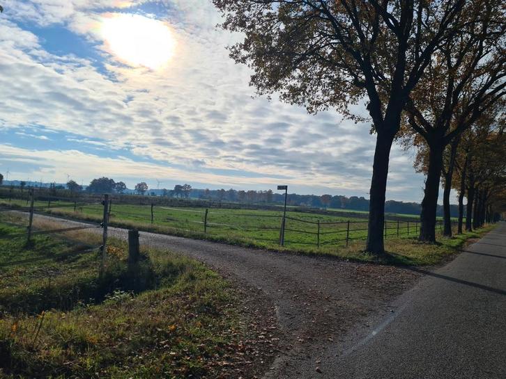 Weidegang en evt stalling voor paard en pony, Dieren en Toebehoren, Stalling en Weidegang, Stalling, Weidegang