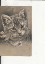 Poes met halsband met belletje   1902, Verzenden, Voor 1920, Gelopen, Overige thema's