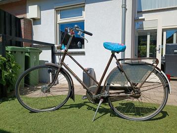 Gazelle Sport Primeur beschikbaar voor biedingen