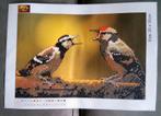 Diamond painting 2 vogeltjes 0.30 x 0.20 cm, Ophalen, Nieuw, Knutselwerk