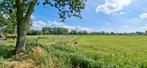 Paardenstalling aan de rand van Groningen, Dieren en Toebehoren, Stalling en Weidegang, Stalling