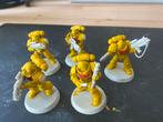 Space Marines - Intercessors, Hobby en Vrije tijd, Wargaming, Gebruikt, Figuurtje(s), Ophalen of Verzenden, Warhammer 40000