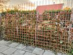 2 betonijzer netten 4450 x 2350mm | 150 x 150 | 8mm, Doe-het-zelf en Verbouw, Metalen, Ophalen of Verzenden, Nieuw, IJzer