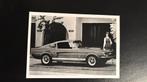 FORD MUSTANG GT 500 Ansichtkaart in prima staat, Ophalen of Verzenden, 1980 tot heden, Ongelopen, Voertuig