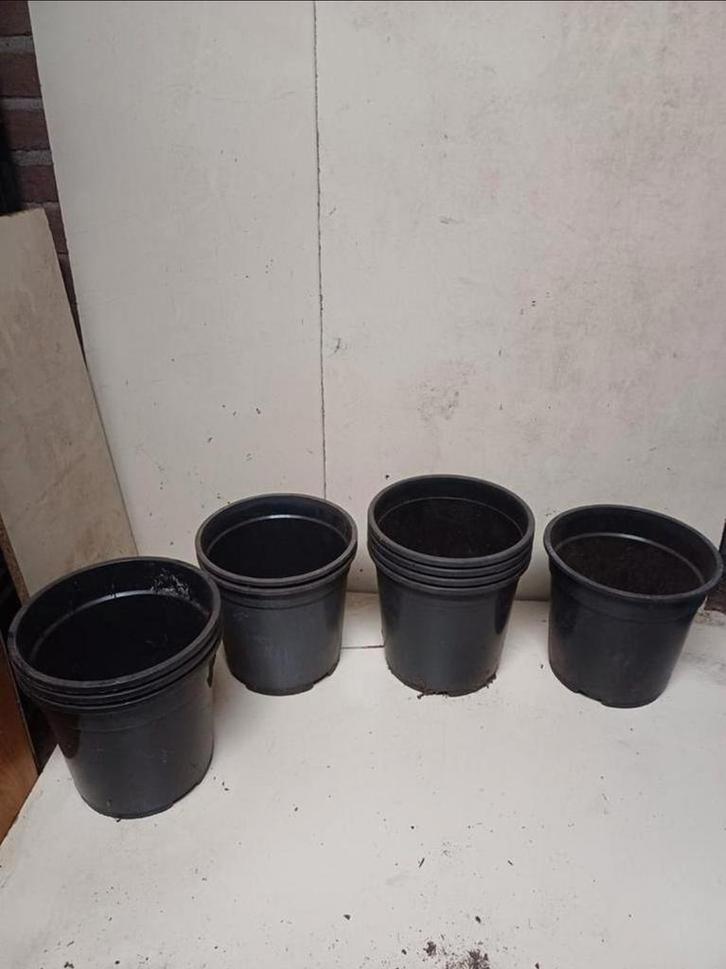 Diverse kweekpotten 19 cm, Tuin en Terras, Bloempotten, Gebruikt, Kunststof, Minder dan 40 cm, Minder dan 25 cm, Rond, Ophalen of Verzenden