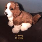 Schattig Hondje - Decoratie, Verzamelen, Ophalen of Verzenden, Zo goed als nieuw, Hond of Kat, Opgezet dier