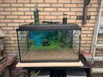 Compleet aquarium 80x35x45 lxbxh, Dieren en Toebehoren, Vissen | Aquaria en Toebehoren, Ophalen, Zo goed als nieuw, Gevuld zoetwateraquarium