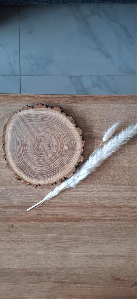 Boomschijf decoratie plateau 20 cm diameter, Antiek en Kunst, Antiek | Woonaccessoires, Ophalen of Verzenden