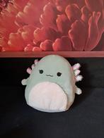 Schattige Axolotl Knuffel van 27,5 cm, Kinderen en Baby's, Speelgoed | Knuffels en Pluche, Ophalen, Nieuw, Overige typen