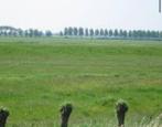 gezocht stuk land te huur of te koop voor paddock paradise n, Dieren en Toebehoren, Stalling en Weidegang