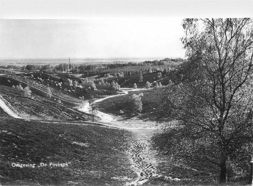 (387-227-029) De Steeg Omgeving De Posbank, Verzamelen, Ansichtkaarten | Nederland, Gelderland, Verzenden