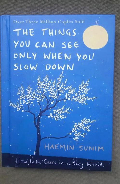 The things you can see only when you slow down, Boeken, Esoterie en Spiritualiteit, Zo goed als nieuw, Spiritualiteit algemeen