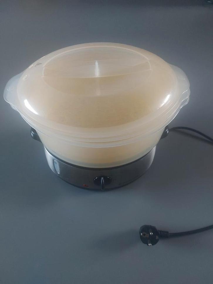 Russel Hobbs Stoomapparaat, Witgoed en Apparatuur, Stoomapparaten, Gebruikt, Ophalen of Verzenden