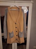 Vest maat XL van Joline Jolink, Joline Jolink, Ophalen of Verzenden, Zo goed als nieuw, Maat 46/48 (XL) of groter