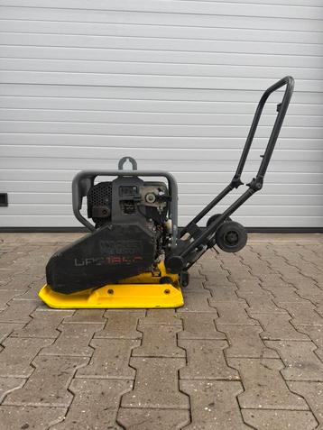 Wacker Neuson DPS1850 Trilplaat beschikbaar voor biedingen