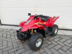 WERKELIJK ALS NIEUWE E-ton Viper JR 40cc LT50, LT80, suzuki, Motoren, 1 cilinder, 40 cc