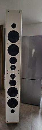 Vifa Luidsprekers - Mooi Geluid, Incl. Kabel, Audio, Tv en Foto, Gebruikt, 60 tot 120 watt, Front, Rear of Stereo speakers, Ophalen