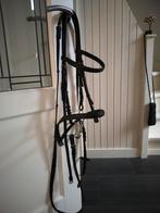 Compleet hoofdstel Full, Dieren en Toebehoren, Paarden en Pony's | Hoofdstellen en Tuigage, Ophalen, Dressuur