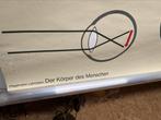 Vintage schoolkaart Oog & Zicht – Hagemann 1982, Ophalen of Verzenden