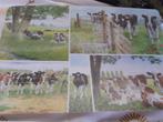 3 placemats Wiebe van der Zee, Ophalen, Gebruikt, Placemat