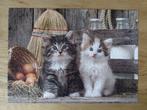 Clementoni puzzel  poezen, Ophalen, 500 t/m 1500 stukjes, Zo goed als nieuw