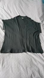 Grijsgroen zomer vest XL - H&M, H&M, Maat 46/48 (XL) of groter, Nieuw, Ophalen of Verzenden