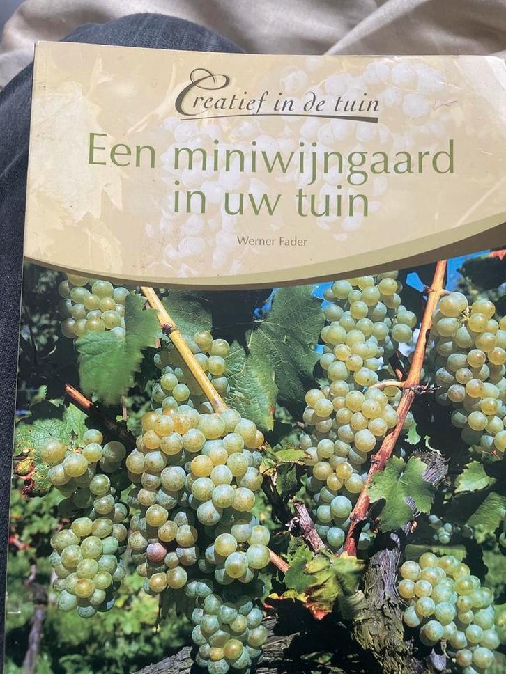 Miniwijngaard in uw tuin - Werner Fader, Boeken, Wonen en Tuinieren, Gelezen, Tuinieren en Tuinplanten, Ophalen of Verzenden