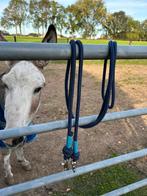 Teugels, Dieren en Toebehoren, Paarden en Pony's | Overige Paardenspullen, Ophalen of Verzenden, Zo goed als nieuw, Overige soorten