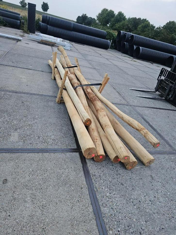 Robinia houten palen, Doe-het-zelf en Verbouw, Hout en Planken, Zo goed als nieuw, Overige typen, Overige houtsoorten, 300 cm of meer