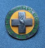 Insigne verpleegkundige, Ophalen of Verzenden, Gebruikt, Overige onderwerpen