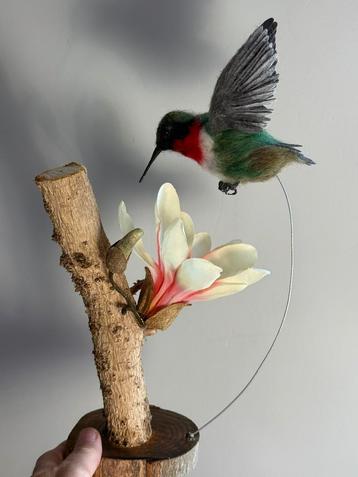 TE KOOP mooi kolibrie vogel vilt handgemaakt beschikbaar voor biedingen