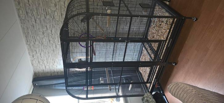 Zo goed als nieuwe dubbele papagaaienkooi van t merk strong, Dieren en Toebehoren, Vogels | Toebehoren, Zo goed als nieuw, Overige typen