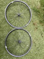 DT Swiss P1850 TLE wielset, 28 inch, Carbon, Nieuw, Meer dan 20 versnellingen