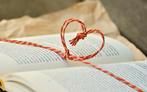 Gezocht! Boeken literatuur, kinderboeken, studieboeken etc!, Boeken, Ophalen