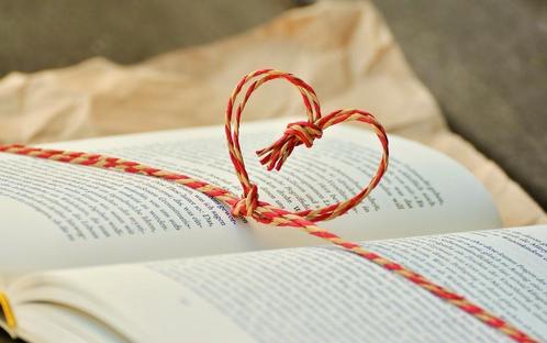 Gezocht! Boeken literatuur, kinderboeken, studieboeken etc!, Boeken, Partijen en Verzamelingen, Ophalen