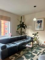 Mooie grote plant te koop (zonder pot), Overige soorten, Vaste plant, Ophalen of Verzenden, Bloeit niet