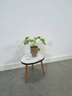 Bijzettafel plantentafel met wit lichtblauw formica, Ophalen of Verzenden, Gebruikt