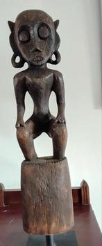 Hampatong bahou dayak mahakam rivier. Kalimantan, Antiek en Kunst, Kunst | Niet-Westerse kunst, Ophalen of Verzenden