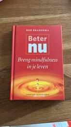 Rob Brandsma - Beter nu, Boeken, Ophalen of Verzenden, Zo goed als nieuw, Rob Brandsma