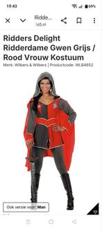 Ridderpak, Ophalen of Verzenden, Zo goed als nieuw, Maat 38/40 (M), Carnaval