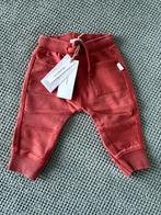 Noppies Broekje Maat 56 - Nieuw!, Kinderen en Baby's, Babykleding | Maat 56, Broekje, Nieuw, Ophalen of Verzenden, Jongetje