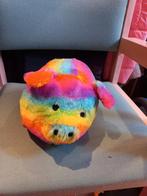 Regenboog Varken Knuffel, Ophalen of Verzenden, Zo goed als nieuw, Overige typen
