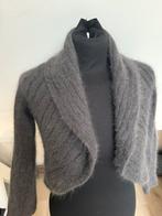 Compagnia Italiana bolero grijs 38, Kleding | Dames, Ophalen of Verzenden, Zo goed als nieuw, Maat 38/40 (M), Grijs