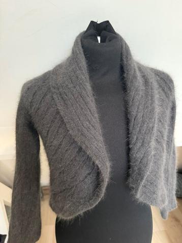 Compagnia Italiana bolero grijs 38 beschikbaar voor biedingen
